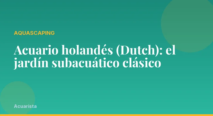 Acuario holandés (Dutch): el jardín subacuático clásico