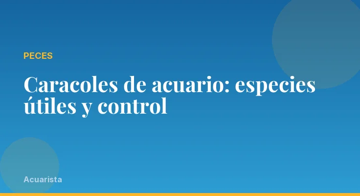 Caracoles de acuario: especies útiles y control