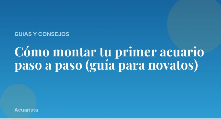 Cómo montar tu primer acuario paso a paso (guía para novatos)