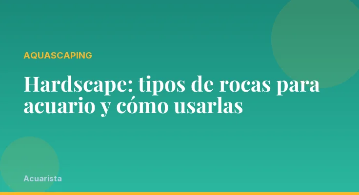 Hardscape: tipos de rocas para acuario y cómo usarlas