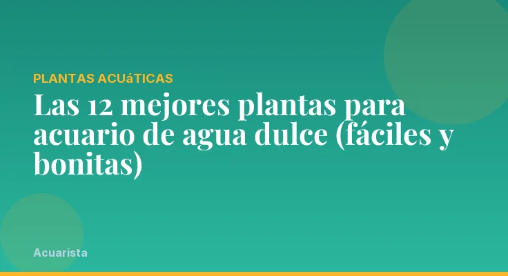 Las 12 mejores plantas para acuario de agua dulce (fáciles y bonitas)