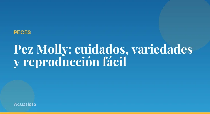 Pez Molly: cuidados, variedades y reproducción fácil