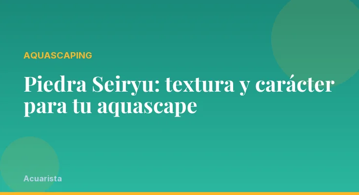 Piedra Seiryu: textura y carácter para tu aquascape